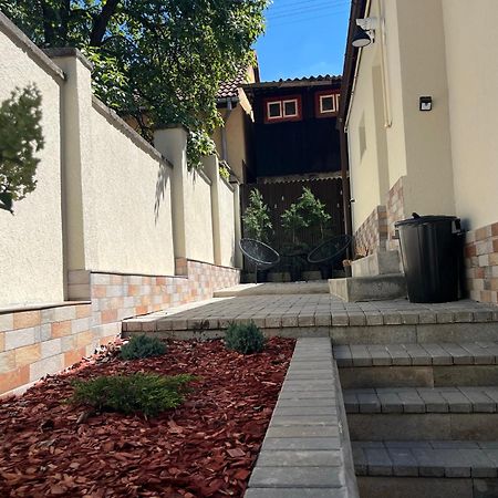 Schei Residence 布拉索夫 外观 照片